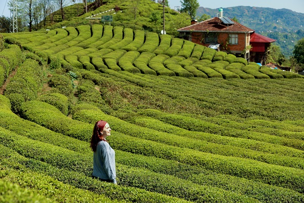 Foto - Yeşil ve mavinin buluştuğu nokta: Rize