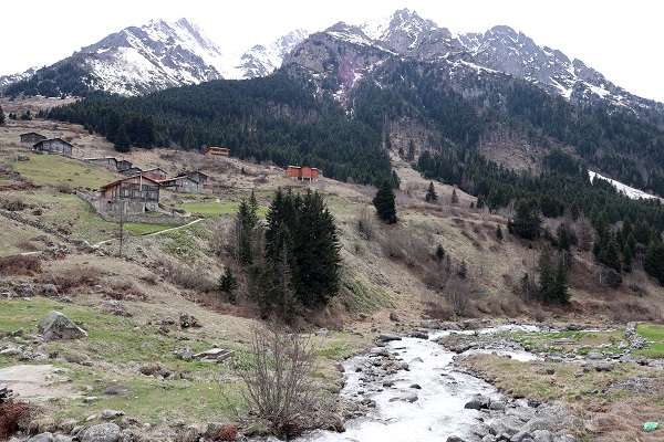 Foto - Yeşil ve mavinin buluştuğu nokta: Rize