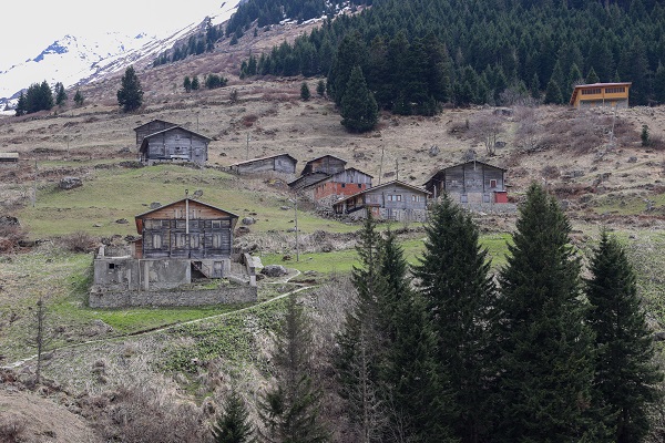 Foto - Yeşil ve mavinin buluştuğu nokta: Rize