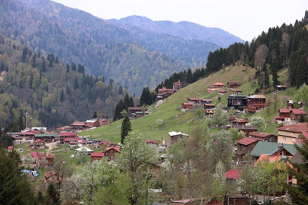 Foto - Yeşil ve mavinin buluştuğu nokta: Rize