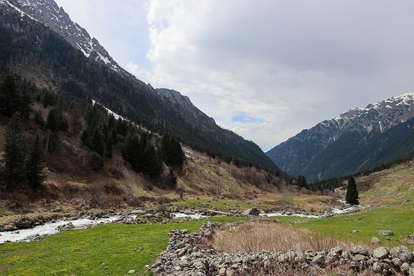 Foto - Yeşil ve mavinin buluştuğu nokta: Rize
