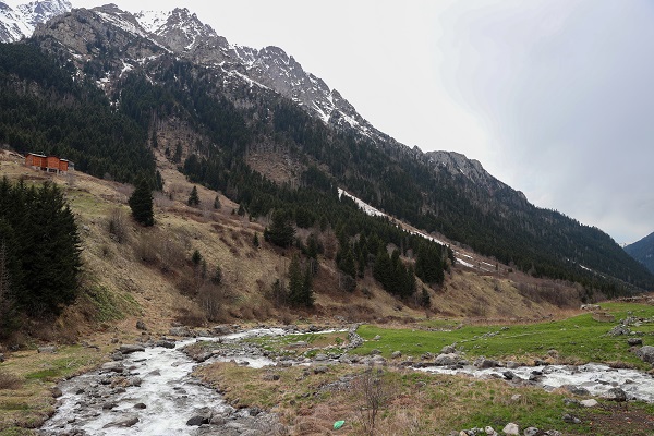 Foto - Yeşil ve mavinin buluştuğu nokta: Rize