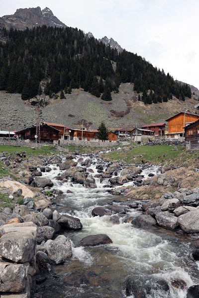 Foto - Yeşil ve mavinin buluştuğu nokta: Rize