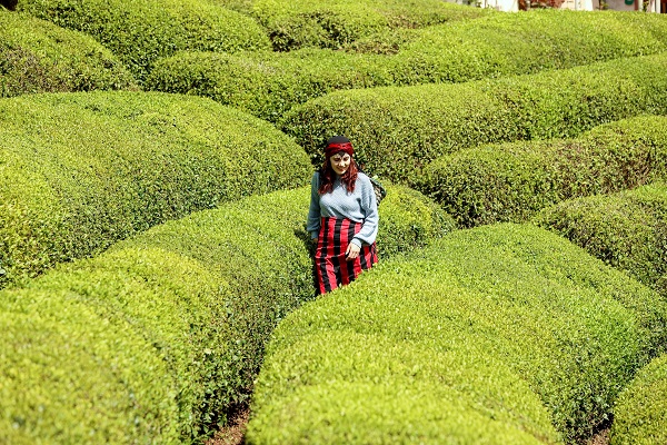Foto - Yeşil ve mavinin buluştuğu nokta: Rize