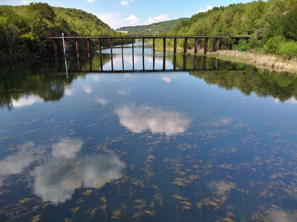 Foto - Yeşil ve mavinin muhteşem uyumu
