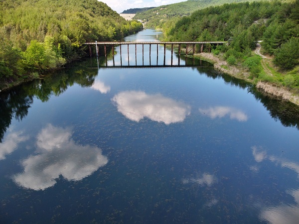 Foto - Yeşil ve mavinin muhteşem uyumu