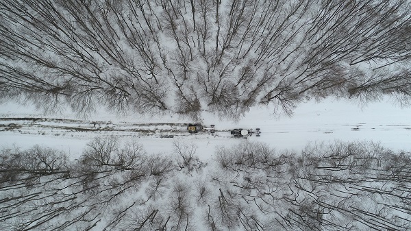 Foto - "Yeşil yeleklilerin" 365 günlük zorlu mesaisi
