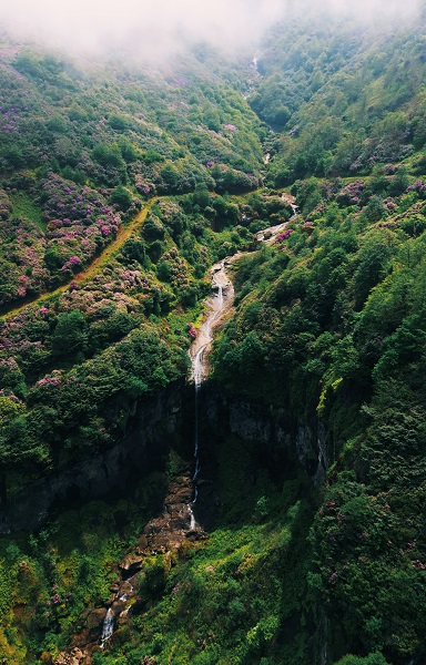Foto - Yeşilin en güzel hali