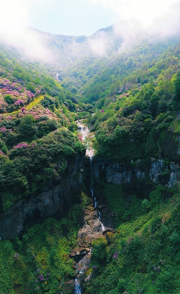 Foto - Yeşilin en güzel hali