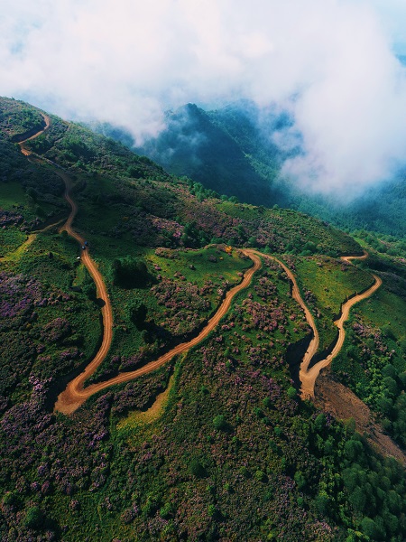 Foto - Yeşilin en güzel hali