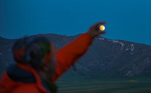 Foto - Yeşilin en güzel tonu: Alandeşt Yaylası