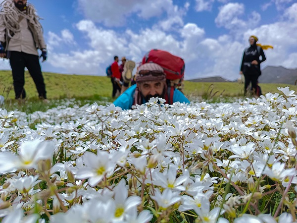 Foto - Yeşilin en güzel tonu: Alandeşt Yaylası