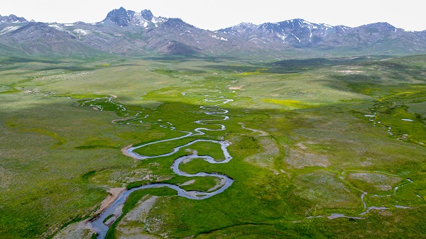 Foto - Yeşilin en güzel tonu: Alandeşt Yaylası