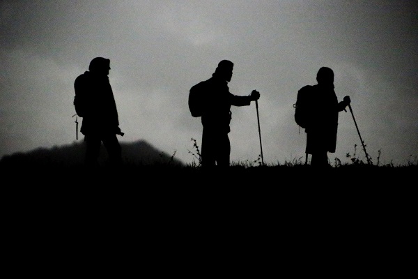 Foto - Yeşilin en güzel tonu: Alandeşt Yaylası