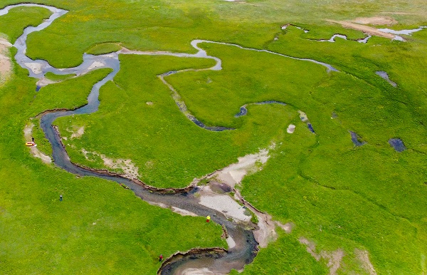 Foto - Yeşilin en güzel tonu: Alandeşt Yaylası