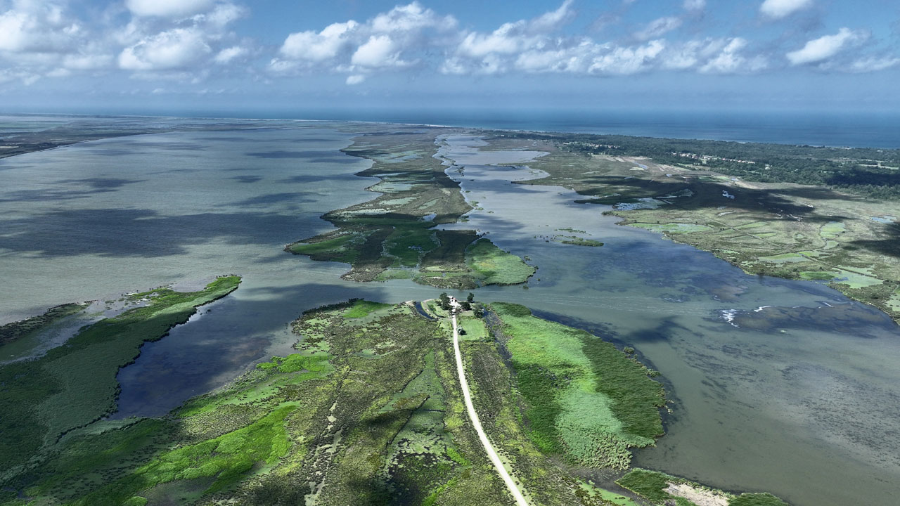 Yeşilin her tonu burada! Kızılırmak Deltası büyüledi