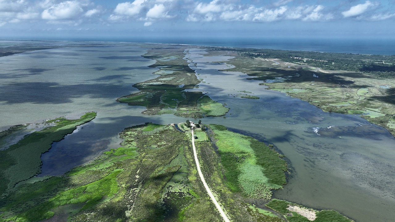 Foto - Yeşilin her tonu burada! Kızılırmak Deltası büyüledi