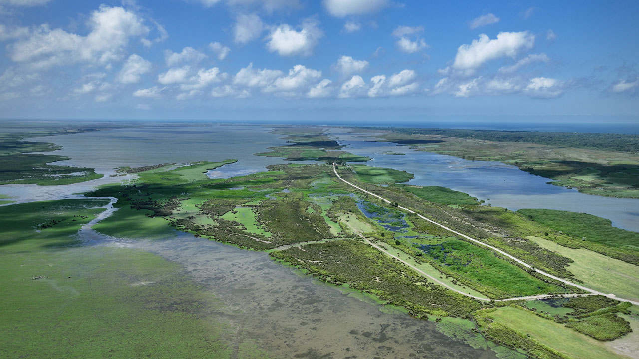 Foto - Yeşilin her tonu burada! Kızılırmak Deltası büyüledi