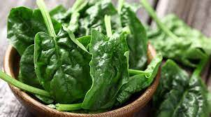 Foto - Yeşilliklerin kralı: Tere otu kürü! Korumalı karışımı var! Herkes parasını cebine koysun! Besin değeri çok yüksek sebze