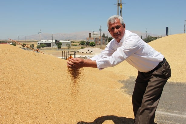 Yetkili ağızdan açıklama geldi! Sosyal medyadaki 'buğday' yalanı patladı