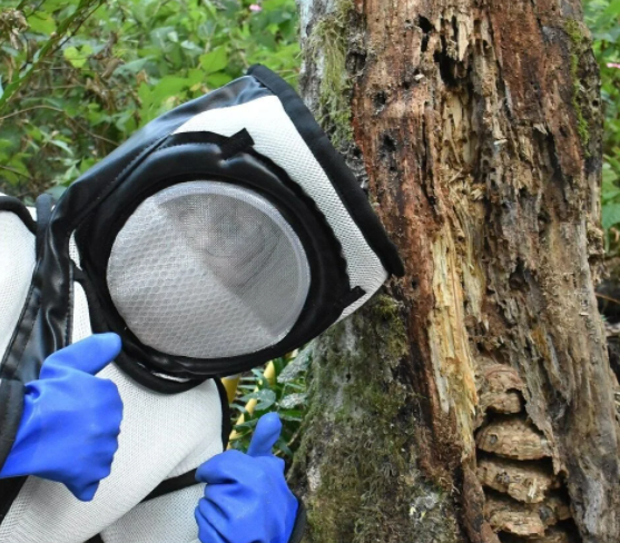 Yetkililer ABD’den duyurdu! ‘2021’de imha ettik’