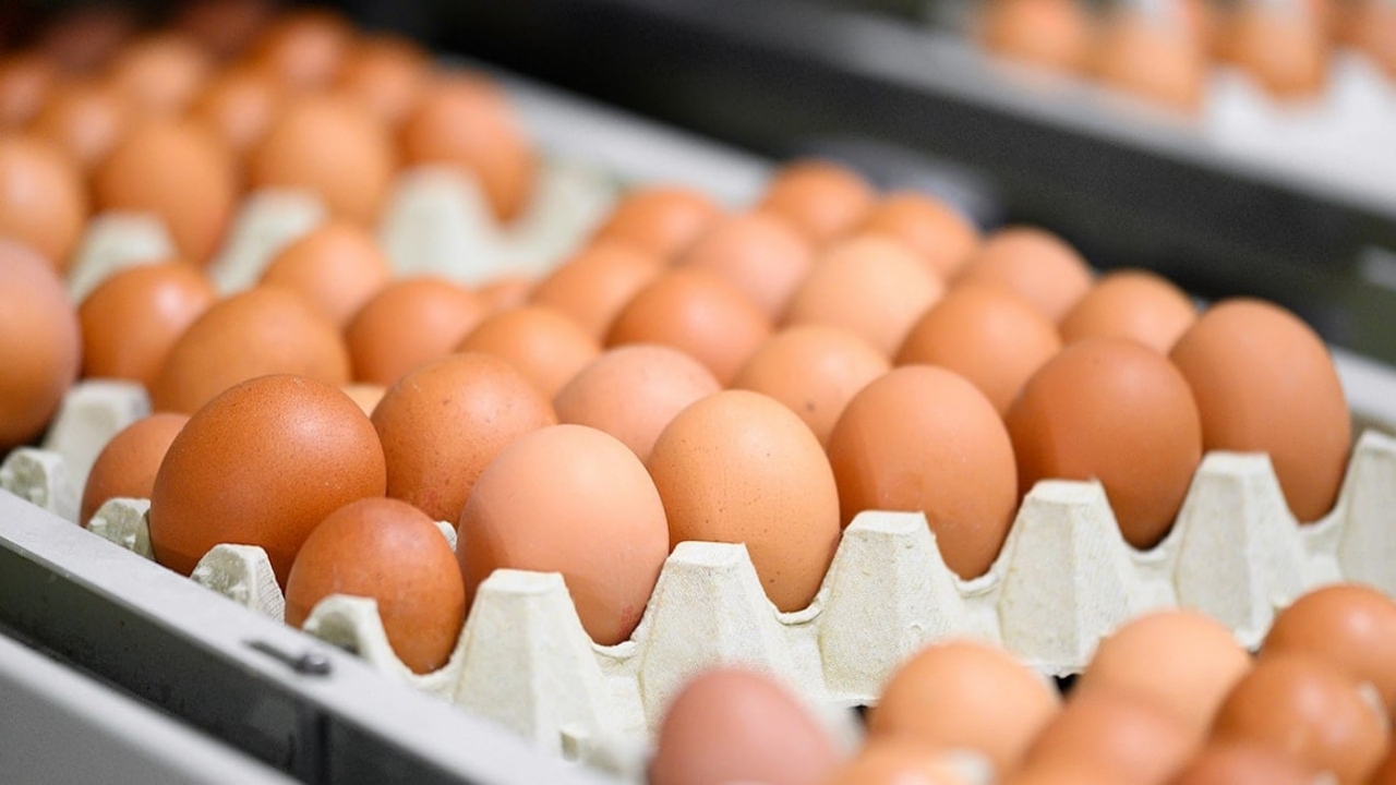 Yetkililer marka paylaştı: Ölümcül bakteri tespit edildi, bu yumurtaları sakın ama sakın almayın