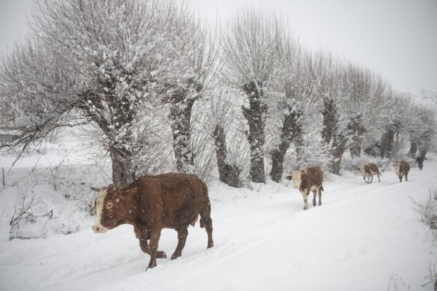 Foto - Yetkililer teyakkuza geçti! Çok sayıda ilde okullara kar tatili