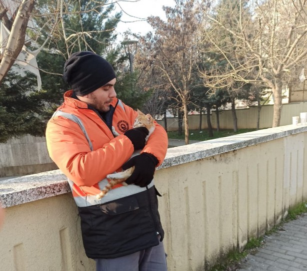 Foto - Yıkıntılar arasından gelen kediye kucak açtı
