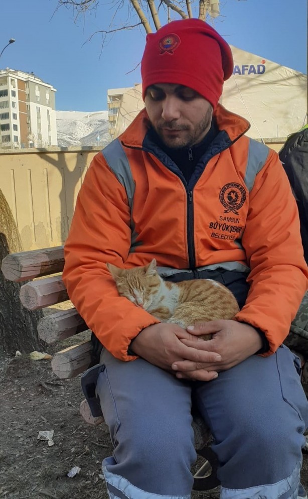Yıkıntılar arasından gelen kediye kucak açtı