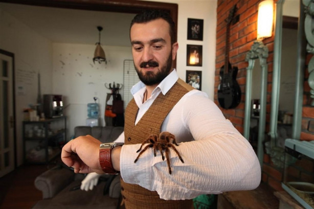 Foto - Yılan ve tarantulalar ile birlikte yaşıyor!