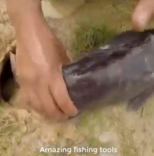 Foto - Yılanla balık tutma taktiği görenleri şaşkına çevirdi