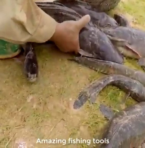 Foto - Yılanla balık tutma taktiği görenleri şaşkına çevirdi