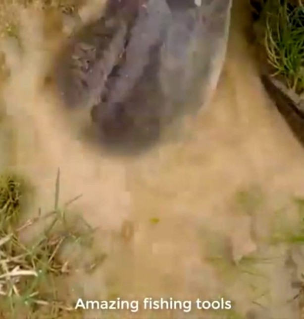 Foto - Yılanla balık tutma taktiği görenleri şaşkına çevirdi