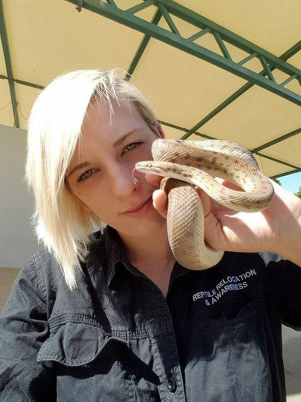 Foto - Yılanları elleriyle avlıyor 