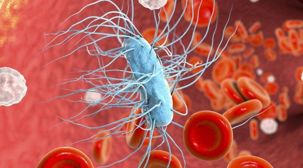 Foto - Yılda 12 milyon kişi hayatını kaybediyor İşte öldürücü hastalığa karşı 10 etkili önlem!