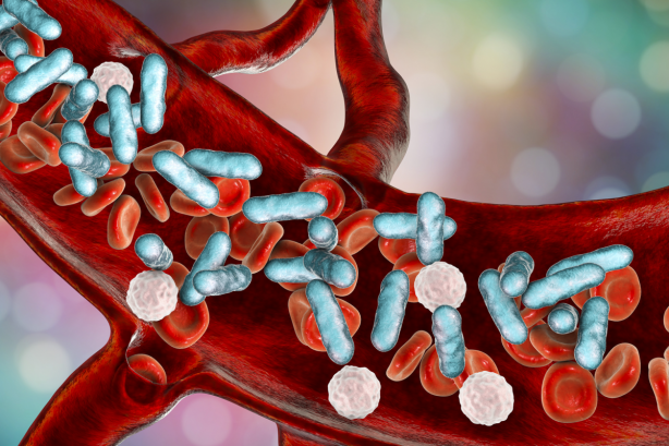 Foto - Yılda 12 milyon kişi hayatını kaybediyor İşte öldürücü hastalığa karşı 10 etkili önlem!