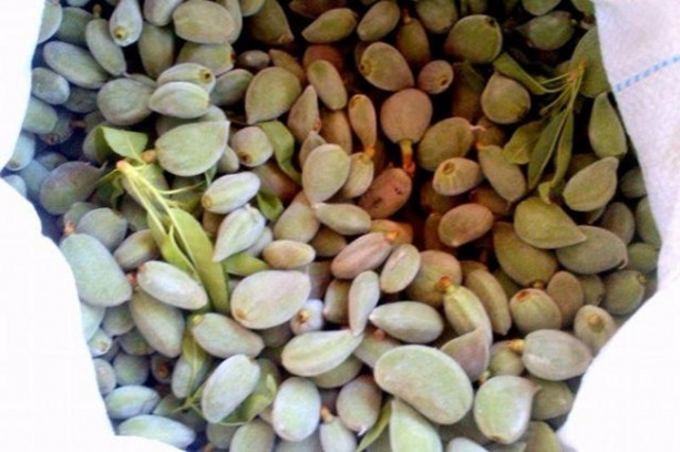 Foto - Yılda 20 gün oluyor ama yararı ömür boyu sürüyor!