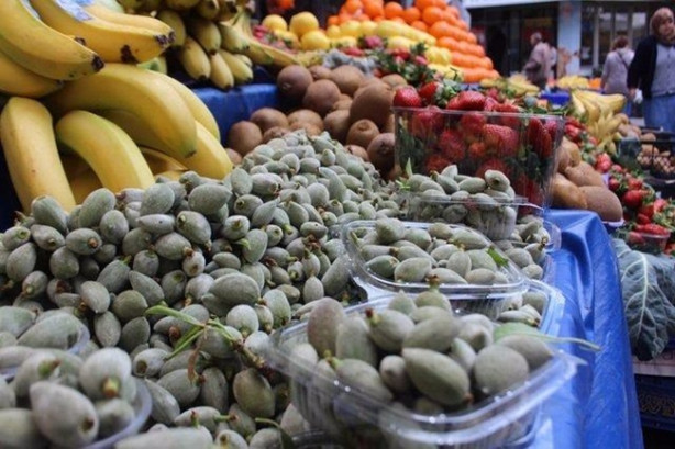 Foto - Yılda 20 gün oluyor ama yararı ömür boyu sürüyor!