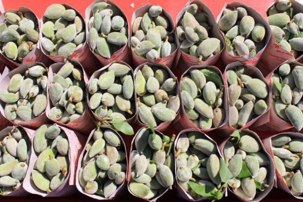 Foto - Yılda 20 gün oluyor ama yararı ömür boyu sürüyor!