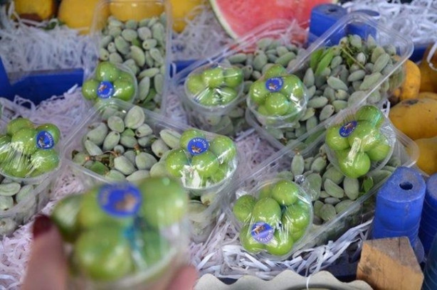 Foto - Yılda 20 gün oluyor ama yararı ömür boyu sürüyor!