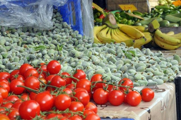 Foto - Yılda 20 gün oluyor ama yararı ömür boyu sürüyor!
