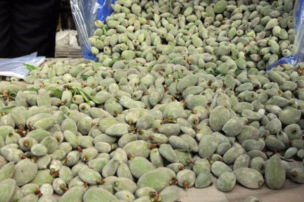 Foto - Yılda 20 gün oluyor ama yararı ömür boyu sürüyor!