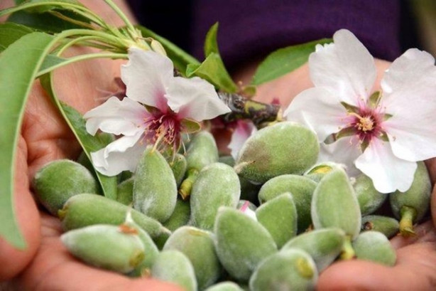  Yılda 20 gün oluyor ama yararı ömür boyu sürüyor!