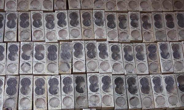 Foto - Yılda 5 bin tane üretiyor! Tanesini 300 liraya satıyor