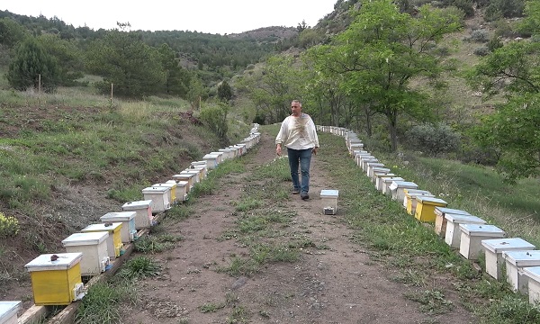 Foto - Yılda 5 bin tane üretiyor! Tanesini 300 liraya satıyor
