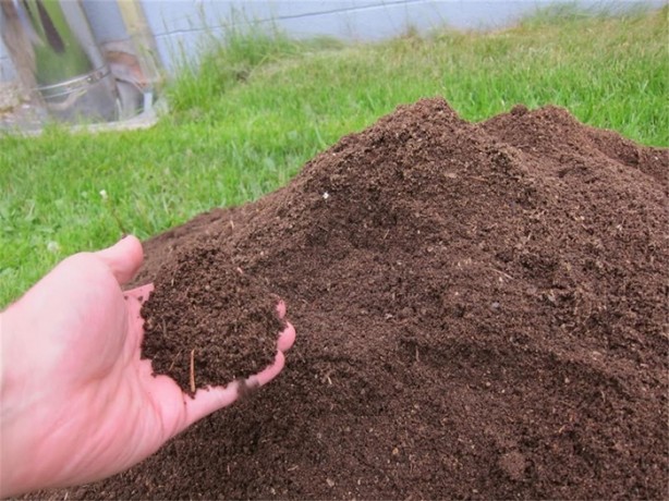 Foto - Yılda 500 bin dolar nasıl kazanılır?