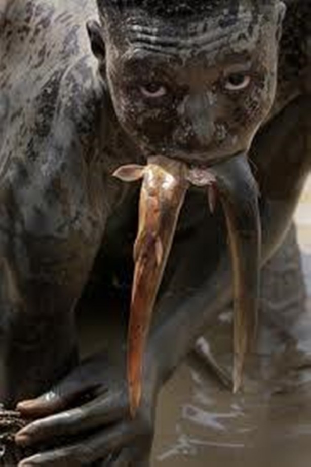 Foto - Yılda bir kez oluyor ve sadece 15 dakikaları var!