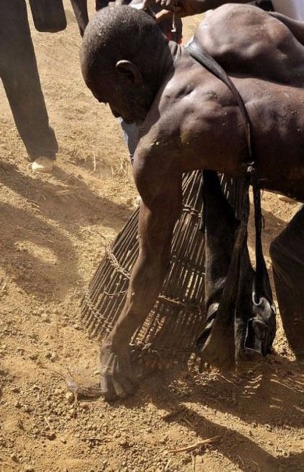 Foto - Yılda bir kez oluyor ve sadece 15 dakikaları var!