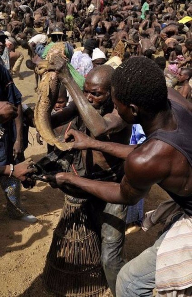 Foto - Yılda bir kez oluyor ve sadece 15 dakikaları var!