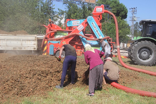 Foto - Yılda sadece 1,5 ay çalışıyorlar! Bu işi yapan saatte 3 bin 500 TL kazanıyor